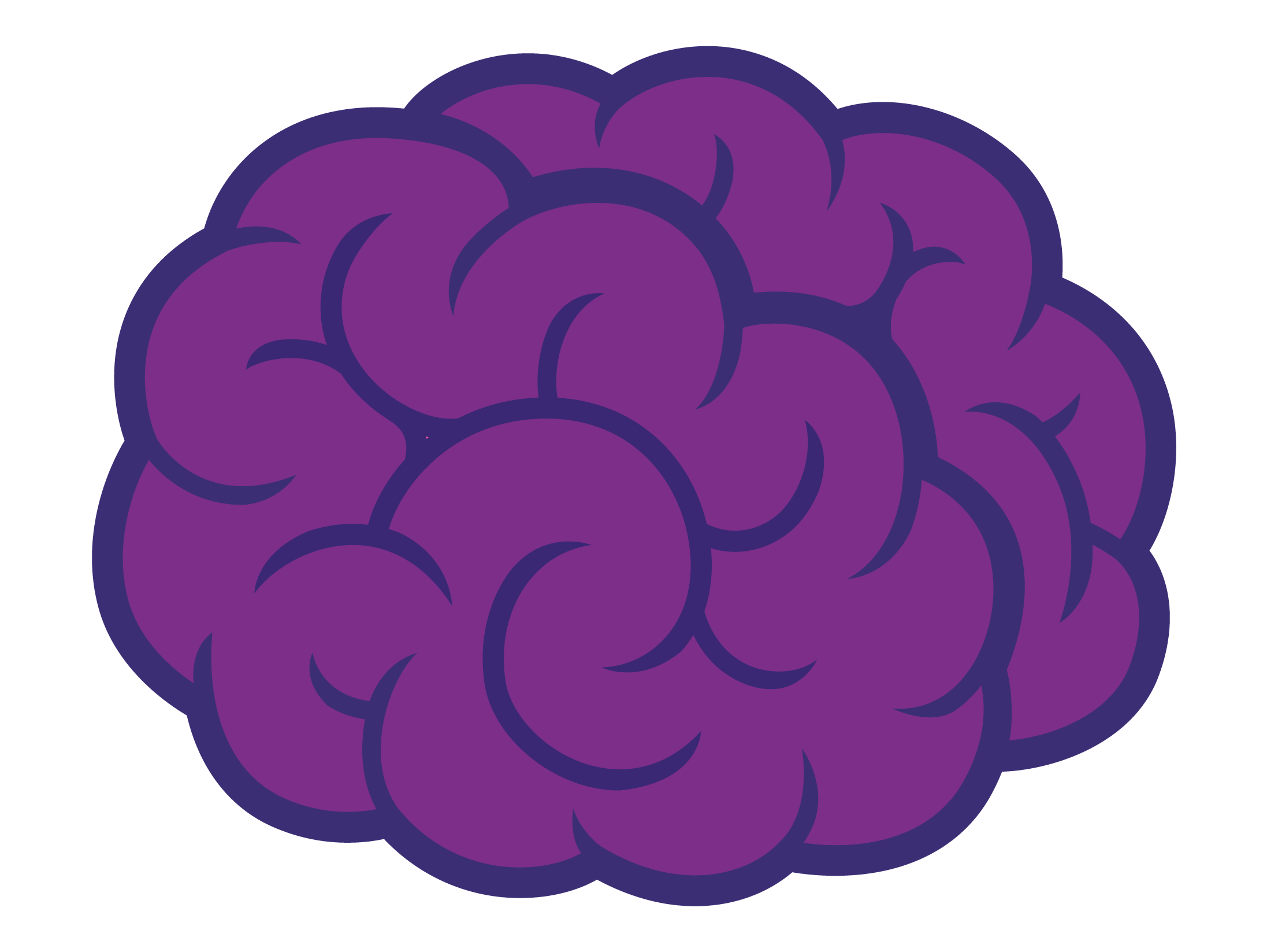 Brain Image